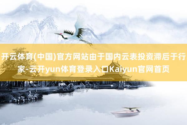 开云体育(中国)官方网站由于国内云表投资滞后于行家-云开yun体育登录入口Kaiyun官网首页