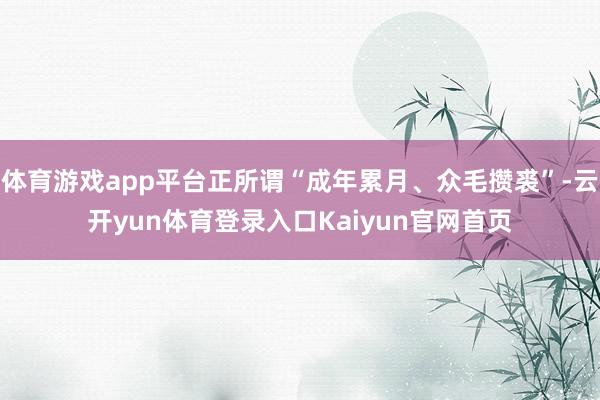 体育游戏app平台正所谓“成年累月、众毛攒裘”-云开yun体育登录入口Kaiyun官网首页
