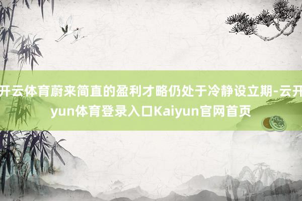 开云体育蔚来简直的盈利才略仍处于冷静设立期-云开yun体育登录入口Kaiyun官网首页