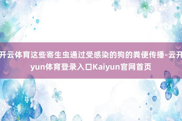 开云体育这些寄生虫通过受感染的狗的粪便传播-云开yun体育登录入口Kaiyun官网首页