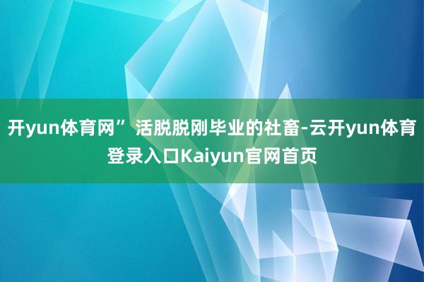开yun体育网” 活脱脱刚毕业的社畜-云开yun体育登录入口Kaiyun官网首页