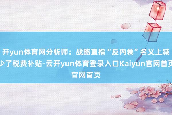 开yun体育网分析师：战略直指“反内卷”名义上减少了税费补贴-云开yun体育登录入口Kaiyun官网首页