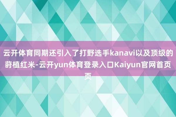 云开体育同期还引入了打野选手kanavi以及顶级的莳植红米-云开yun体育登录入口Kaiyun官网首页
