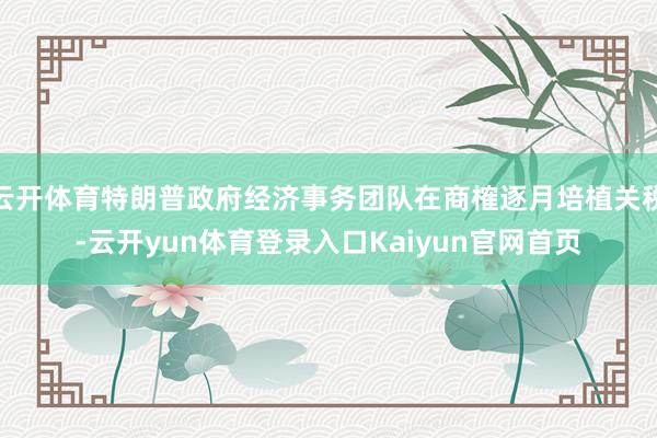云开体育特朗普政府经济事务团队在商榷逐月培植关税-云开yun体育登录入口Kaiyun官网首页