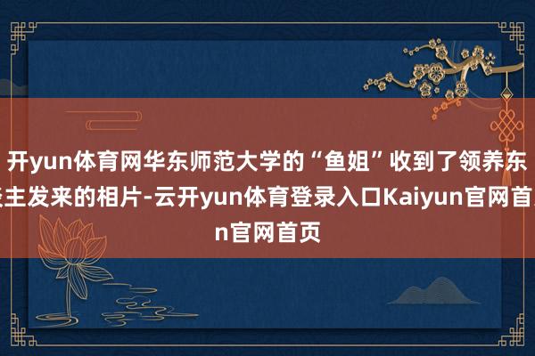 开yun体育网华东师范大学的“鱼姐”收到了领养东谈主发来的相片-云开yun体育登录入口Kaiyun官网首页