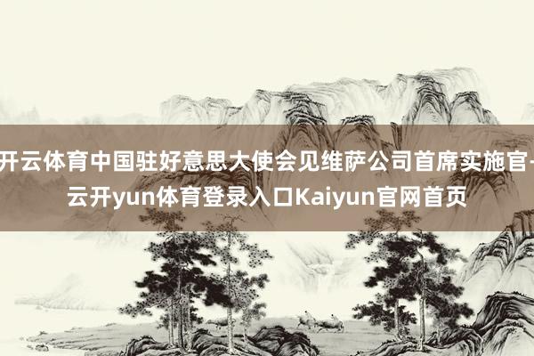 开云体育中国驻好意思大使会见维萨公司首席实施官-云开yun体育登录入口Kaiyun官网首页