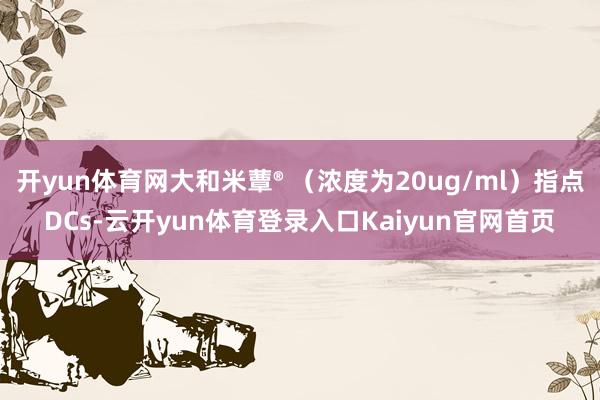 开yun体育网大和米蕈® （浓度为20ug/ml）指点DCs-云开yun体育登录入口Kaiyun官网首页